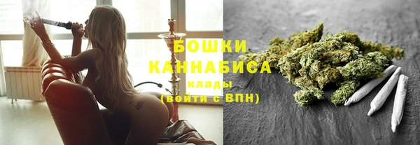 молекула духа Ельня