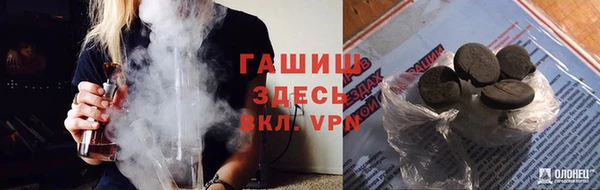 молекула духа Ельня