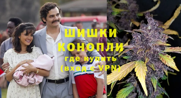 мет Елизово