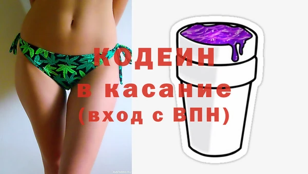 мет Елизово