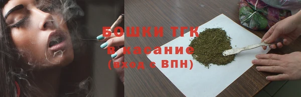 молекула духа Ельня