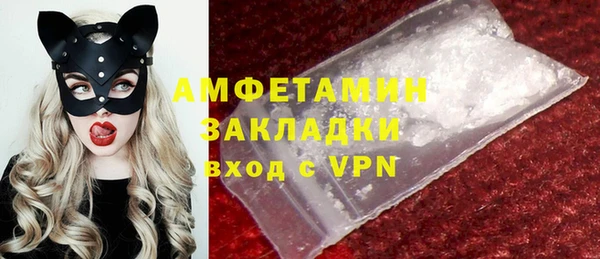 молекула духа Ельня