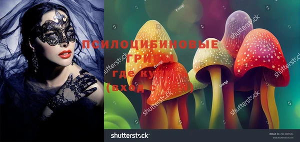 молекула духа Ельня