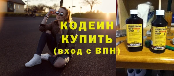 молекула духа Ельня