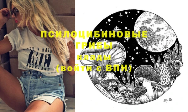 ГАЛЛЮЦИНОГЕННЫЕ ГРИБЫ Елабуга