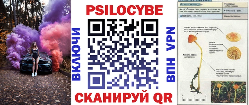 Галлюциногенные грибы ЛСД  Купить где  Кубинка 